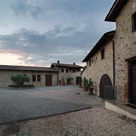 Azienda Agricola A Bonacchi