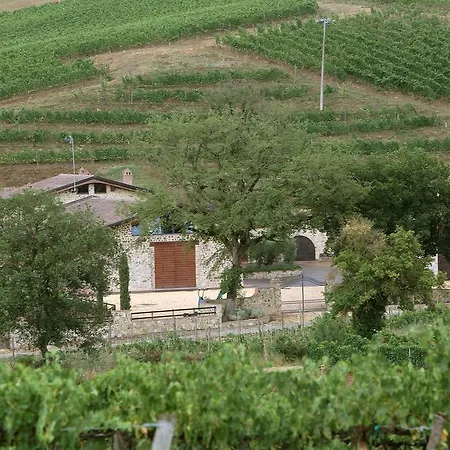 Azienda Agricola A Bonacchi Montalcino