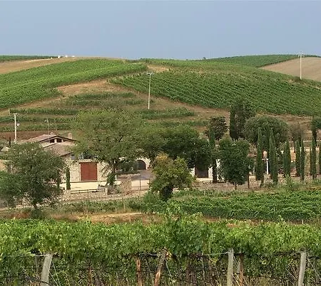 Azienda Agricola A Bonacchi