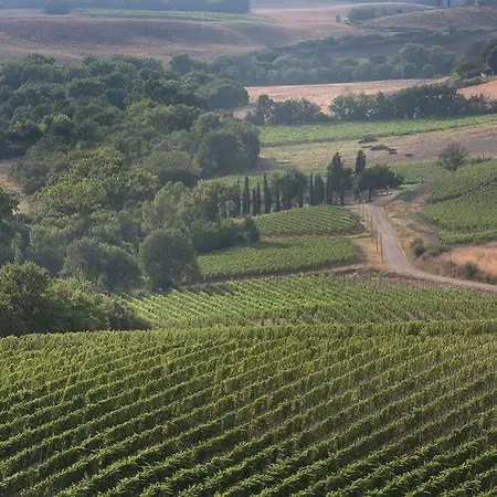 Azienda Agricola A Bonacchi Farm stay Montalcino