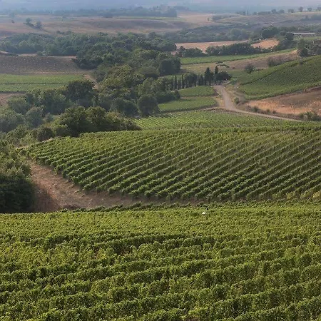 Farm stay Azienda Agricola A Bonacchi Montalcino