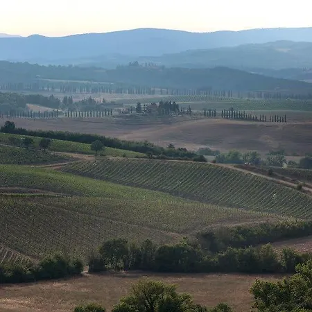 Azienda Agricola A Bonacchi *